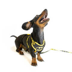 Kit Peitoral Air Batman Ajustável para Cães FreeFaro - comprar online