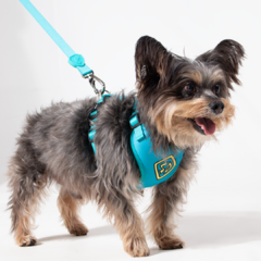 Kit Peitoral Air Scooby Doo SD Ajustável para Cães FreeFaro - comprar online