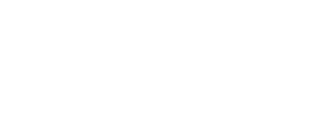Ovejas In The Party