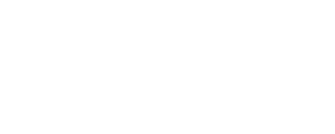 Ovejas In The Party