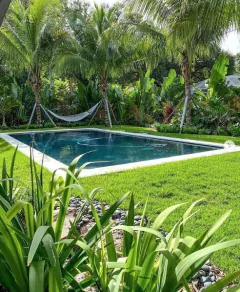 Vista de un jardín con piscina rodeada de palmeras y plantas tropicales, ideal para un espacio verde relajante.
