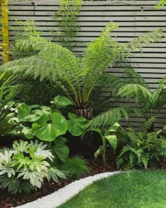 Vista de un jardín con diversas plantas verdes, incluyendo helechos y hojas grandes, en un entorno de paisajismo moderno.