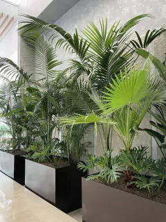 Jardín interior con diversas plantas en macetas modernas, creando un ambiente verde y fresco.