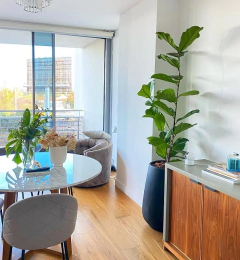 paisajismo en interiores con plantas