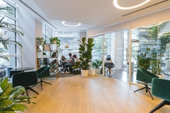 Plantas grandes para oficinas modernas que purifican el aire y mejoran el bienestar 