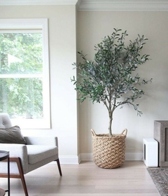 Planta de olivo en una maceta de mimbre, decorando un ambiente interior moderno.