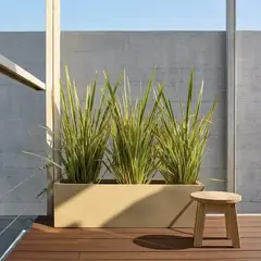 plantas para balcones y terrazas donde comprar ya armadas