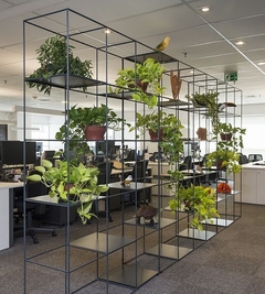 plantas para oficinas comprar