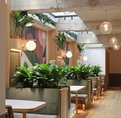 Diseño de interiores con plantas en bares y restaurantes