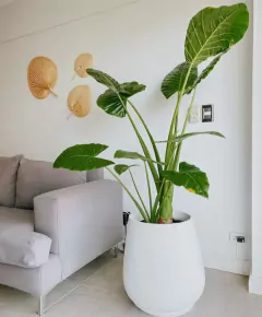 diseño de espacios verdes