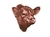 Calcos Angus