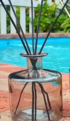 Envase difusor ASIS- Elegí 250 o 500 ml en internet