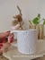 TAZA ANIMALITOS