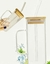 VASO TENDENCIA CON O SIN ASA - comprar online