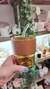 VASO MUG DE VIDRIO