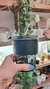 VASO MUG DE VIDRIO - comprar online