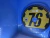 Fallout 76 PS4 (capa reimpressa) - comprar online