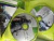 Jogo Dead Space 3 limited edition Xbox 360 na internet