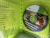 Jogo Heavy Fire Shattered Spear Xbox 360 - comprar online
