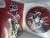 No More Heroes Heroes’Paradise PS3 na internet