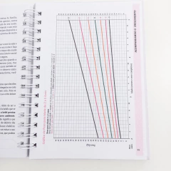 Kit Livro do Bebê + Caderneta de Saúde e Vacinação Menino - Tema Ursinho Príncipe - Fazendo Arte e Mimos - Papelaria personalizada / Encadernação artesanal/ Velas e home spray