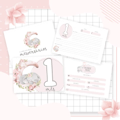 Kit Livro do Bebê + Caderneta de Saúde e Vacinação Menina - Tema Elefantinha na internet