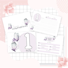 Kit Livro do Bebê + Caderneta de Saúde e Vacinação Menina - Tema Borboletas na internet