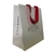 Sacola de Papel Personalizada Tamanho P (23x21x11cm) - Papel Duplex 210g na internet