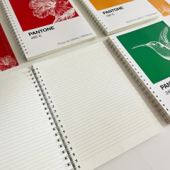 Cartapacio A4 Pantone en internet