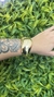 Maxi Bracelete de Dourado Moderno