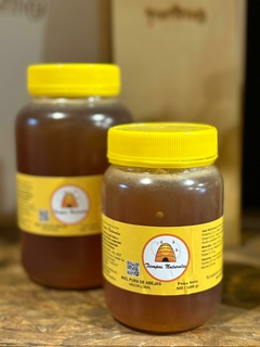 Miel liquida Tiempos Naturales en internet