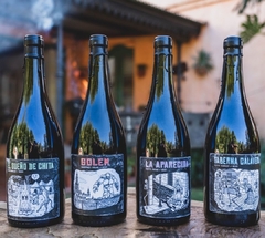 Vino Cabernet Franc Golem - comprar online