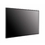 Monitor Profissional LG 43" 4K Stand Alone - 43UM5N-H.AWZM-B - C-TEC online