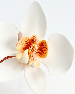 MODELADO DE ORQUÍDEA EN PASTA DE AZÚCAR - comprar online