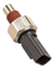 Sensor Interruptor Luz Ré Jac Motors J3 na internet