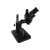 Microscópio Trinocular 37045A Preto Completo - comprar online