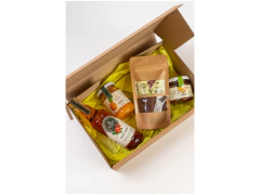 Kit Saberes da Amazônia na internet
