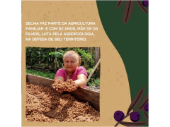 Café de Açai - Kit Açafé - Super Fruto da Amazônia na internet