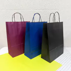10 Sacola Kraft Colorida Grande com Alça 24x10x33 Presente Loja Embalagem - comprar online