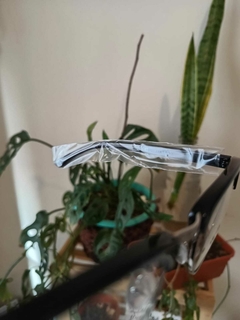Lentes Marco - Classic - Margaritas