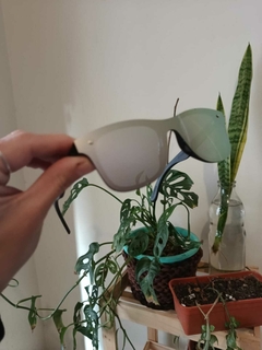 Lentes de Sol espejado - Margaritas