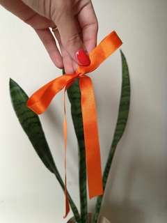 Moño selah Naranja - comprar online