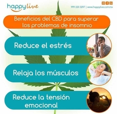 Happy Ending Lube Full Spectrum CBD 60 ml - Buenas Vibras Sex Shop