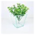 Vaso Cone P Vidro