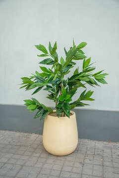 ARBOL DRACAENA 140CM - comprar online