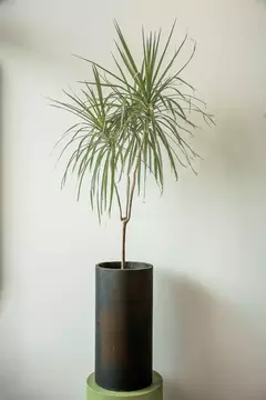 CILINDRO 30*60 - tienda online
