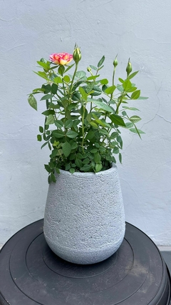 JARRÓN RÚSTICO MATE 20CM - tienda online