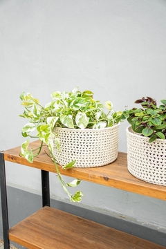 POTHUS B18