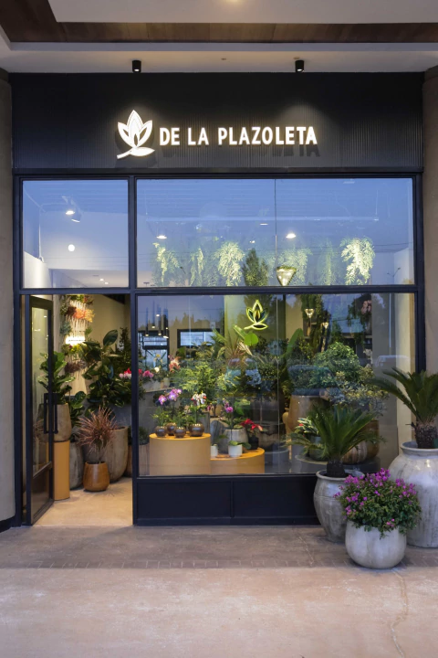 Carrusel De la Plazoleta