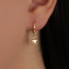 Argola com estrela e zircônia